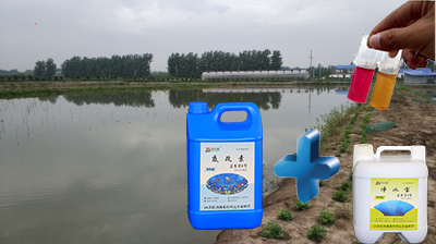 调水改水降氨氮,贝仕德效果看得见